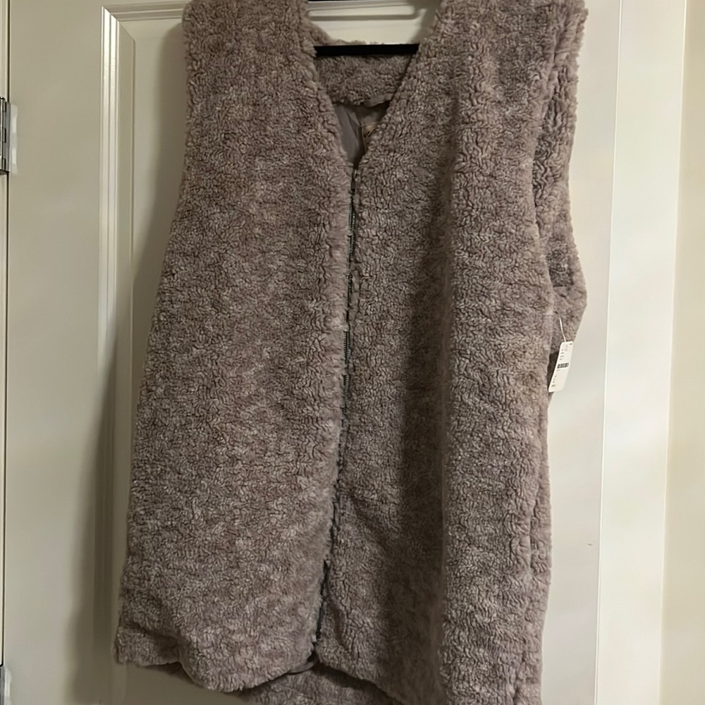 Free People We the Free fur vest
